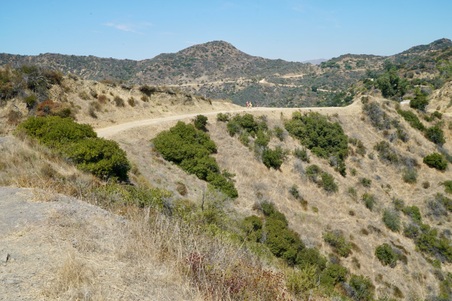 Enlarge photo 63