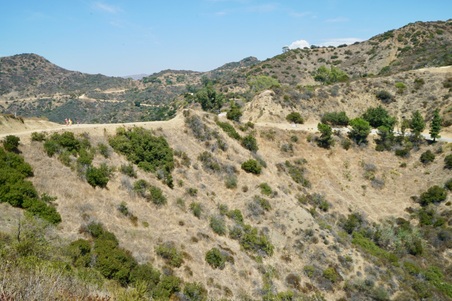 Enlarge photo 64