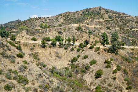 Enlarge photo 65