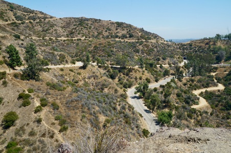 Enlarge photo 40