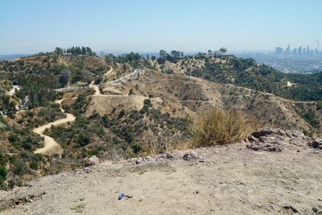 Enlarge photo 41