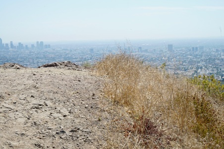 Enlarge photo 31