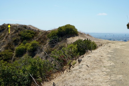 Enlarge photo 13