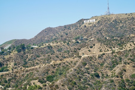 Enlarge photo 69