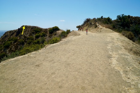 Enlarge photo 15