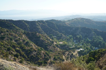 Enlarge photo 16