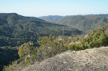Enlarge photo 19