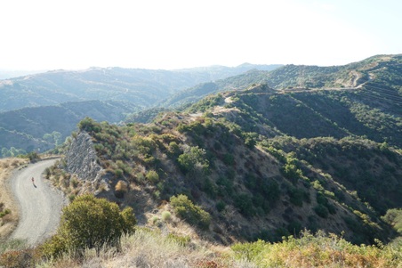 Enlarge photo 36