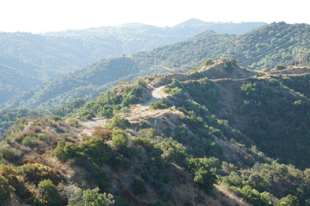 Enlarge photo 37