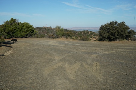 Enlarge photo 39