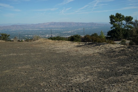 Enlarge photo 41
