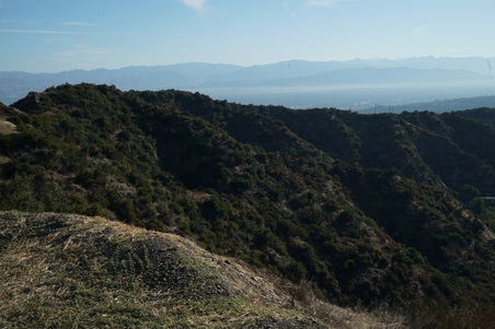 Enlarge photo 43