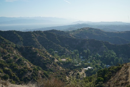 Enlarge photo 44