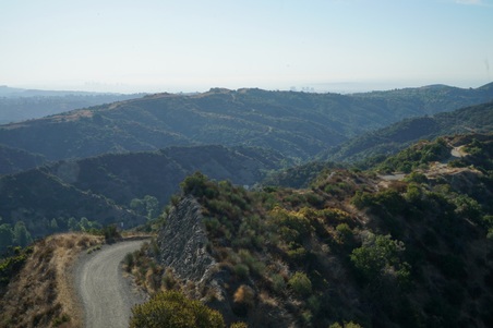 Enlarge photo 45