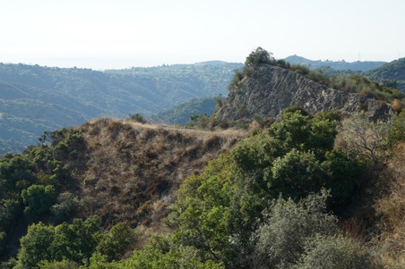 Enlarge photo 49