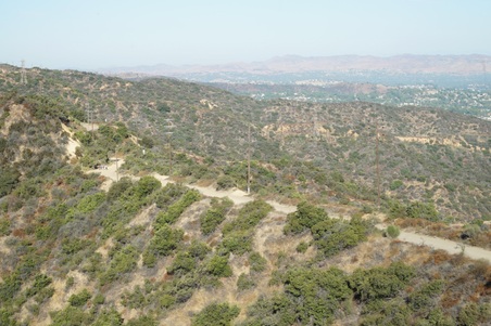 Enlarge photo 83
