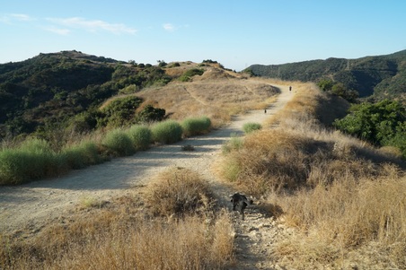 Enlarge photo 11
