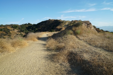 Enlarge photo 15