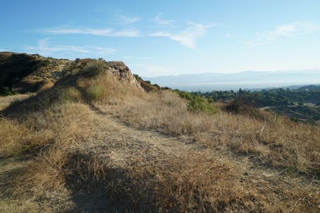 Enlarge photo 16