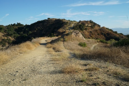 Enlarge photo 19