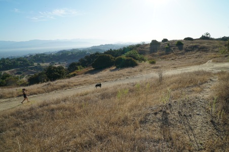 Enlarge photo 24