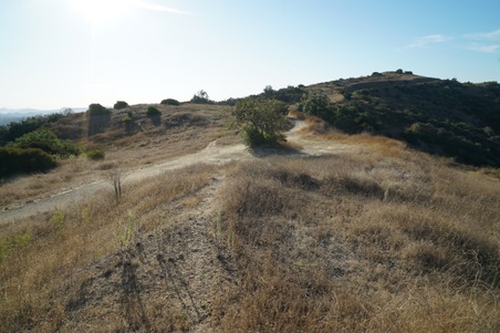 Enlarge photo 25