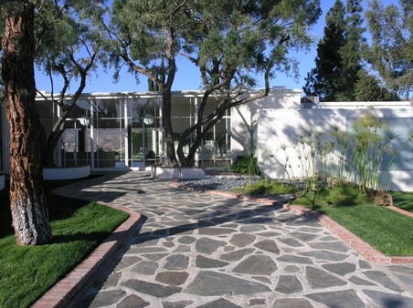 Fox house