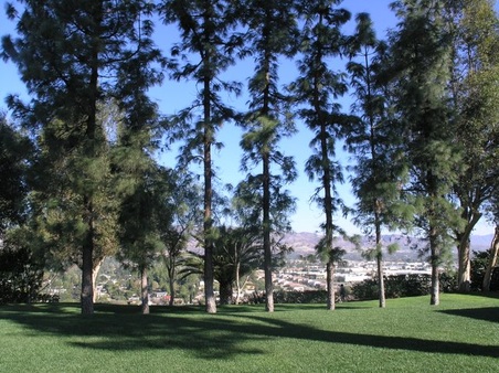 Enlarge photo 40