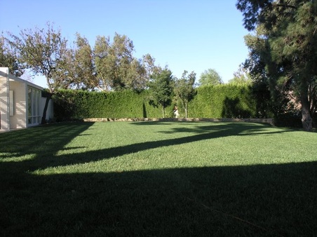 Enlarge photo 43