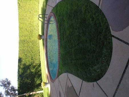 Enlarge photo 46