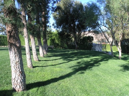 Enlarge photo 53