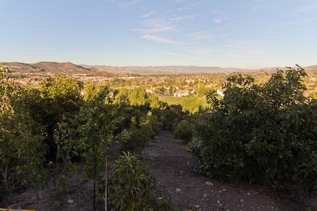 Enlarge photo 195