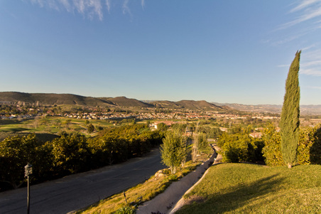 Enlarge photo 203