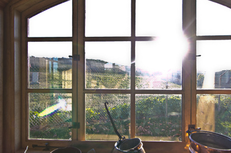 Enlarge photo 237