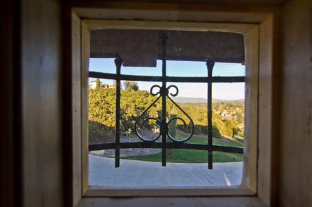 Enlarge photo 245