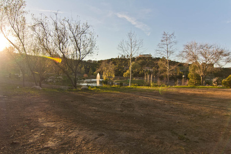 Enlarge photo 257