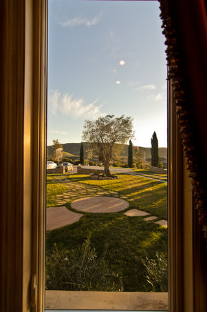 Enlarge photo 26