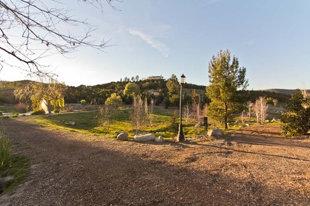 Enlarge photo 260