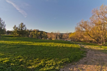 Enlarge photo 263