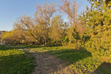 Enlarge photo 264