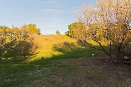 Enlarge photo 265
