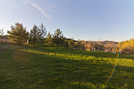 Enlarge photo 267