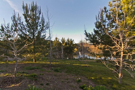 Enlarge photo 269