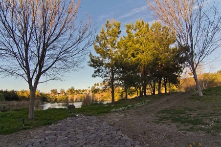 Enlarge photo 272