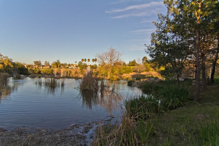 Enlarge photo 273