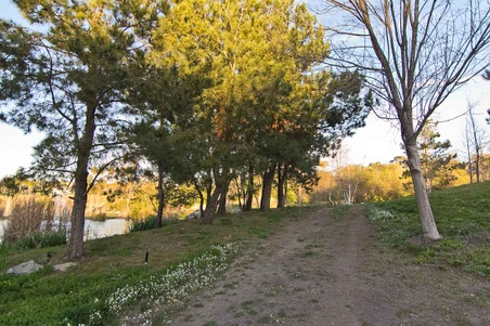 Enlarge photo 275