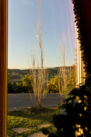 Enlarge photo 28