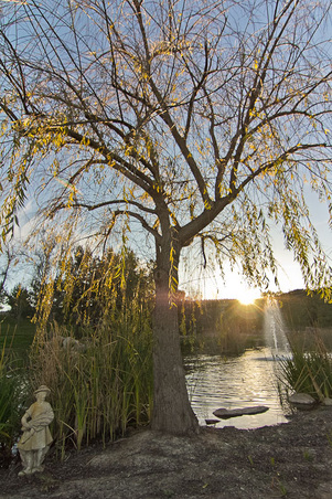 Enlarge photo 283
