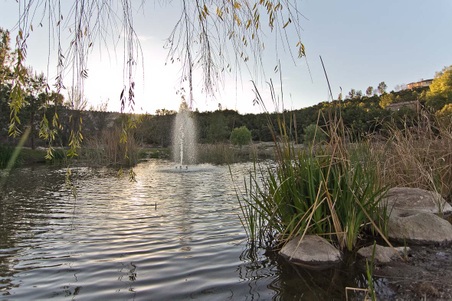 Enlarge photo 284