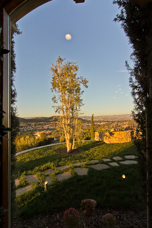 Enlarge photo 57